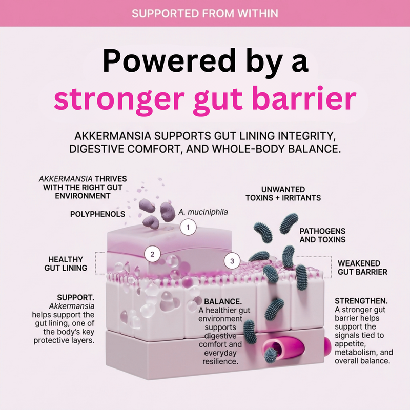 How Akkermansia Supports a